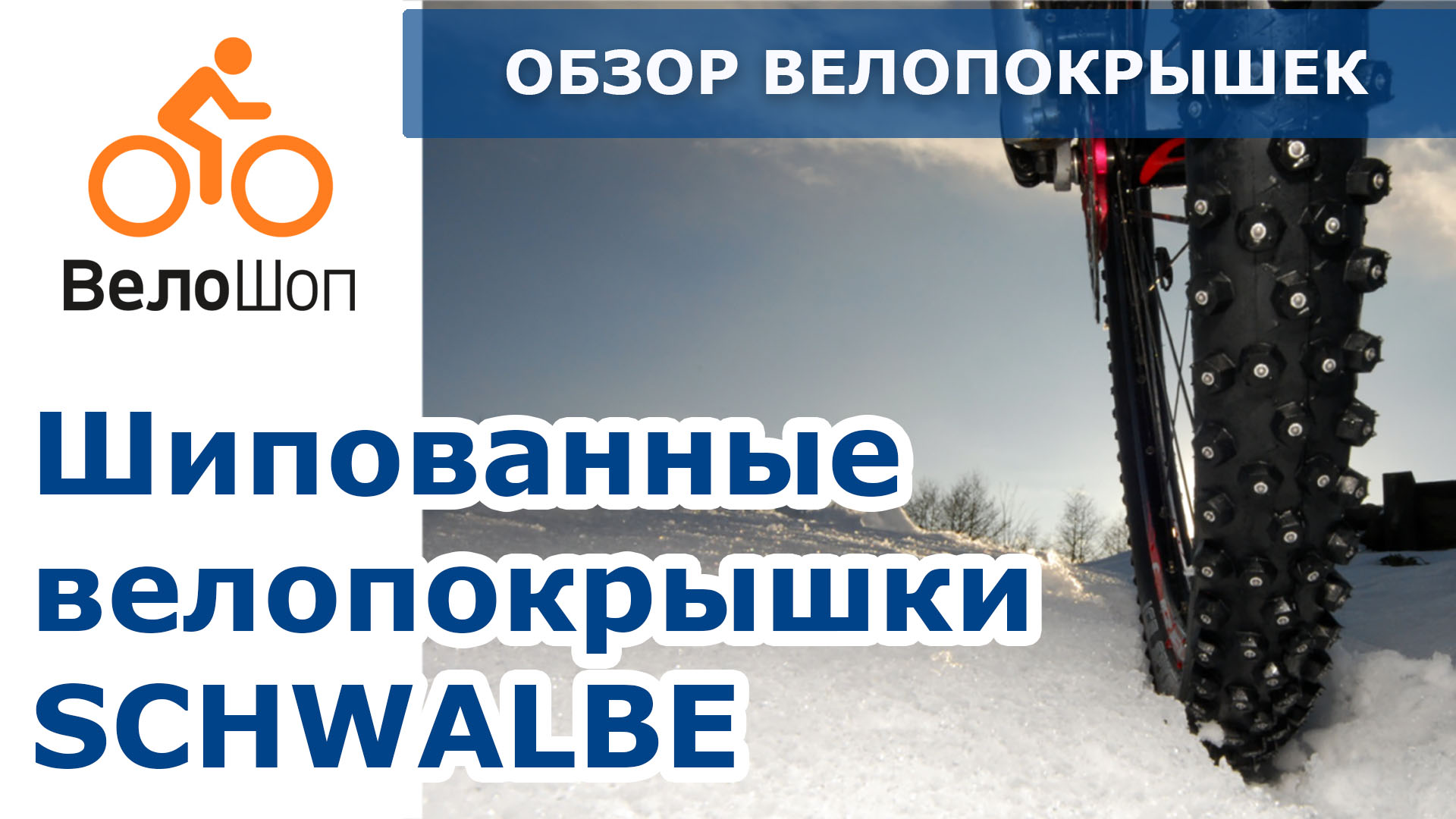 Шипованные велопокрышки SCHWALBE (2019) Шипованные велопокрышки SCHWALBE (2019)