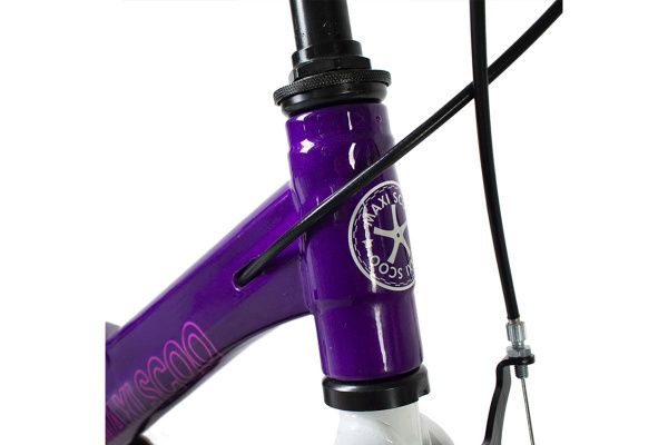 Велосипед MAXISCOO "Space", Стандарт, 16" (2022)